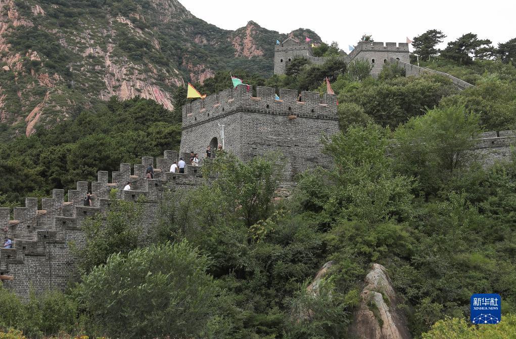 山东福利彩票官方网站